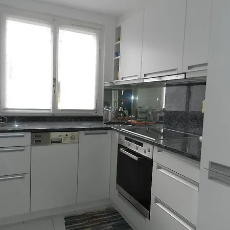 Daire La Sarine 124 Appartement-fewo- Dusche Oder Bad- Wc 4-bettwohnung By Interhome Gstaad